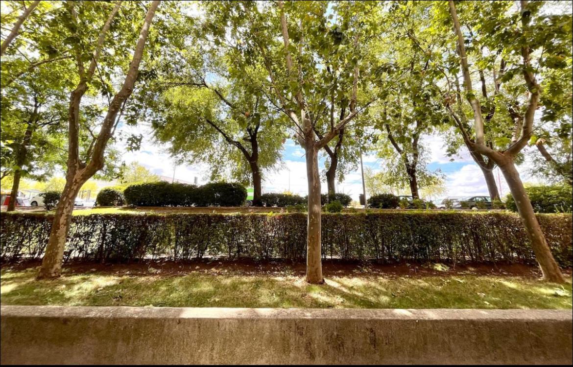 Maximilian Dreams Apartment Madrid Exterior photo